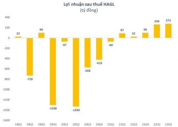 Hoàng Anh Gia Lai (HAGL) lãi 531 tỷ đồng trong 6 tháng đầu năm, dự kiến sản lượng heo xuất bán tăng gấp đôi trong nửa cuối năm - Ảnh 1.