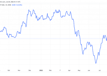 Hơn 11,5 triệu cổ phiếu DBC sẽ giao dịch từ 5/8 - Ảnh 1.