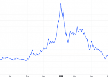 Hơn 24 triệu cổ phiếu LCM bị hủy niêm yết - Ảnh 1.