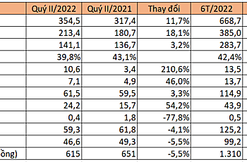 Imexpharm lãi 6 tháng tăng 9%, nợ vay tài chính giảm gần 65% - Ảnh 1.