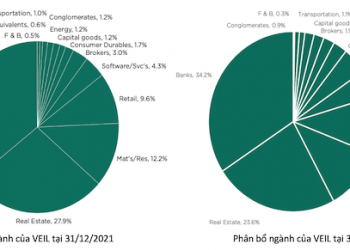Khẩu vị đầu tư của Dragon Capital thay đổi như thế nào? - Ảnh 1.