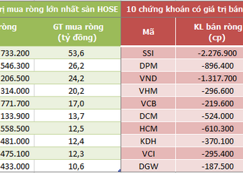 Khối ngoại mua ròng nhẹ trên HoSE trong phiên 11/7, nối dài chuỗi bán ròng ở HNX và UPCoM - Ảnh 1.