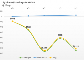 Khối ngoại trở lại bán ròng hơn nghìn tỷ trong tuần đầu tháng 7, đâu là tâm điểm? - Ảnh 1.