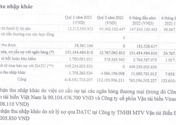 Không chỉ hồi sinh khi giá cước tăng, nửa đầu năm Vinalines thậm chí lãi đậm 2.123 tỷ đồng – tăng gấp đôi nhờ xoá được 560 tỷ nợ xấu - Ảnh 1.
