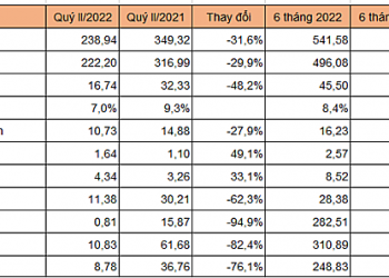 Không thanh lý vườn cao su, công ty mẹ Cao su Phước Hòa báo lãi quý II giảm hơn 76% - Ảnh 1.