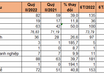 Khu công nghiệp Nam Tân Uyên lãi 72 tỷ đồng quý II, tăng 41% - Ảnh 1.
