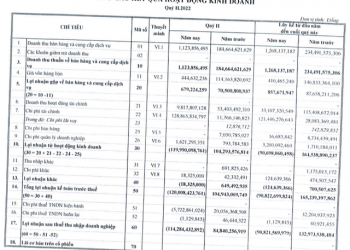 Kinh doanh bất động sản nhưng đầu tư chứng khoán là chính, Nhà Đà Nẵng (NDN) lỗ hơn 114 tỷ trong quý 2/2022 - Ảnh 1.