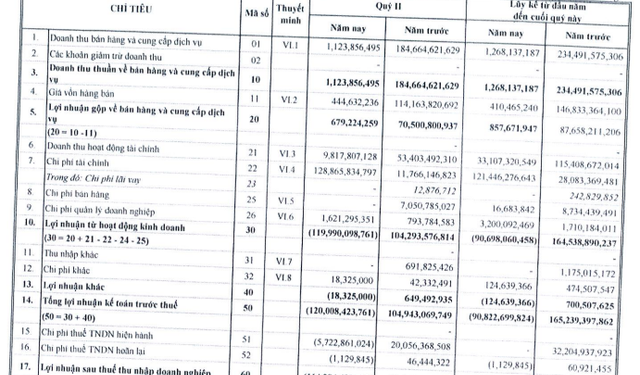 Kinh doanh bất động sản nhưng đầu tư chứng khoán là chính, Nhà Đà Nẵng (NDN) lỗ hơn 114 tỷ trong quý 2/2022 - Ảnh 1.