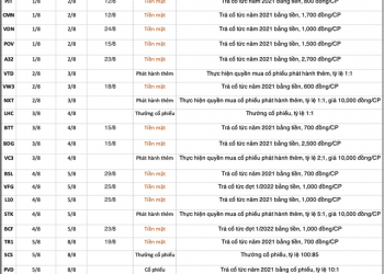 Lịch chốt quyền cổ tức, thưởng, chào bán cổ phiếu tuần 1/8 - 5/8 - Ảnh 1.