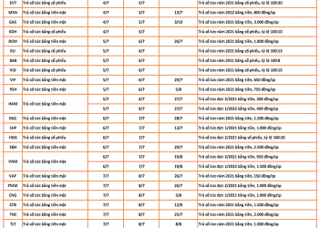 Lịch chốt quyền cổ tức, thưởng cổ phiếu tuần 4/7 - 8/7 - Ảnh 1.
