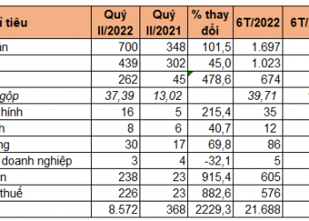 Lộ diện doanh nghiệp có EPS cao nhất sàn chứng khoán nửa đầu năm - Ảnh 1.