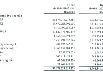 Một doanh nghiệp dầu khí lãi đột biến 10.000 tỷ trong quý 2, gấp rưỡi cả năm 2021 - Ảnh 1.