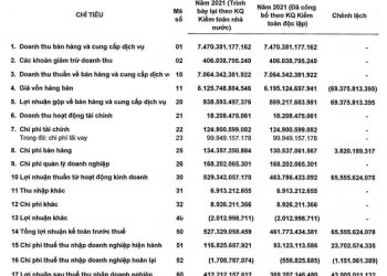 Lợi nhuận 2021 của Vicem Hà Tiên được điều chỉnh tăng 43 tỷ đồng sau kiểm toán Nhà nước - Ảnh 1.