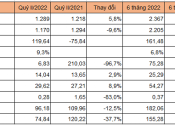 Lợi nhuận công ty mẹ Nhiệt điện Phả Lại quý II giảm 38% do hụt thu tài chính - Ảnh 1.