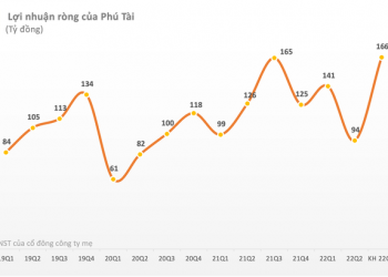 Phú Tài (PTB): Lợi nhuận nửa đầu năm 2022 tăng 31% so với cùng kỳ, đặt mục tiêu lãi 540 tỷ đồng sau 9 tháng - Ảnh 1.