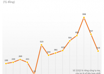 Chứng khoán SSI: Lợi nhuận nửa đầu năm tăng 12% lên 1.376 tỷ đồng, tháng 7 sẽ hoàn tất phát hành thêm 497 triệu cổ phiếu - Ảnh 1.