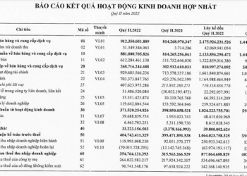 Bamboo Capital (BCG): Lợi nhuận nửa đầu năm tăng 81% lên 877 tỷ đồng - Ảnh 1.
