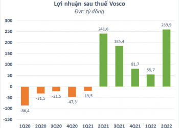 Lợi nhuận sau thuế 6 tháng đầu năm của VOSCO (VOS) tăng gần 42%  - Ảnh 1.