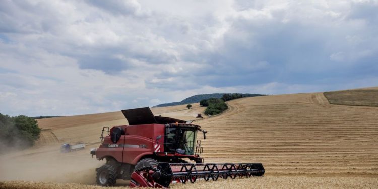 Lương thực là nguyên nhân gây ra lạm phát hay năng lượng?