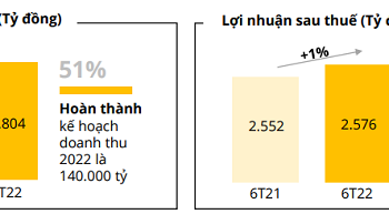 MWG báo lãi quý II giảm, đến cuối quý III sẽ còn 1.700-1.800 cửa hàng Bách Hóa Xanh - Ảnh 1.
