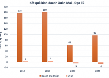 Một cổ phiếu tăng 143% sau hai tuần - Ảnh 1.