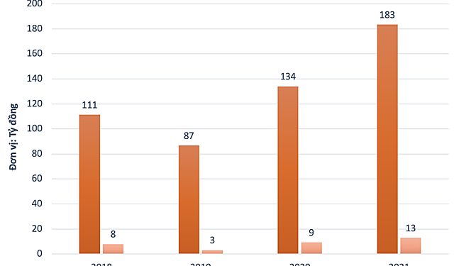 Một cổ phiếu tăng gần 81% sau 2 tuần - Ảnh 1.