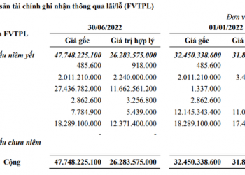 Một công ty chứng khoán lỗ 21 tỷ đồng trong quý 2 vì tự doanh, từng thắng đậm hàng trăm tỷ với DIG nhưng không thể bán - Ảnh 1.