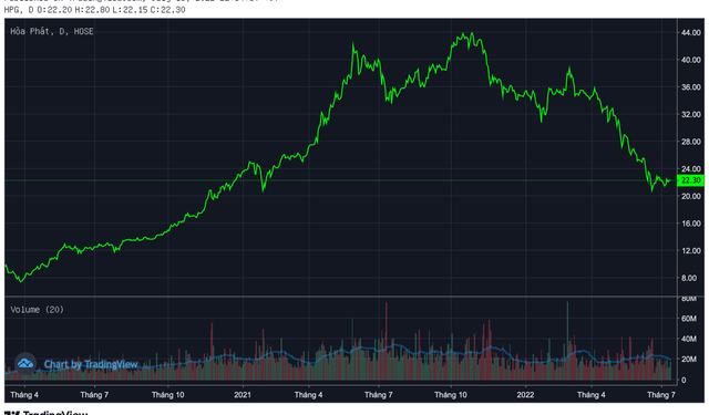 Người thân lãnh đạo Hoà Phát không mua hết lượng cổ phiếu HPG đã đăng ký do chưa thu xếp được kế hoạch tài chính - Ảnh 1.