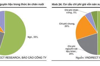 Nhà đầu tư nên thận trọng với cổ phiếu ngành thịt? - Ảnh 1.