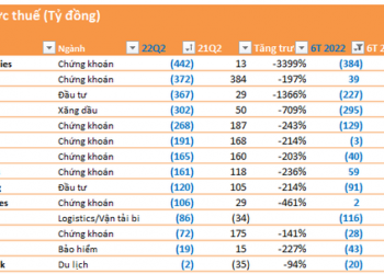 Cập nhật mùa BCTC quý 2 đến ngày 25/7: Nhiều doanh nghiệp tăng trưởng 50-100%, 10 công ty lỗ trên 100 tỷ - Ảnh 1.