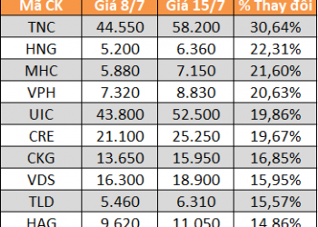 10 cổ phiếu tăng/giảm mạnh nhất tuần: Nhóm bán lẻ biến động tiêu cực - Ảnh 1.