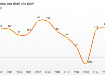 Nhựa Bình Minh (BMP) báo lãi quý 2/2022 tăng 247% so với cùng kỳ, đạt mức cao nhất trong vòng 6 quý - Ảnh 1.