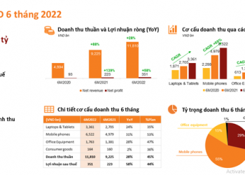 Digiworld (DGW): Nửa đầu năm lợi nhuận 351 tỷ đồng, thực hiện 45% chỉ tiêu năm - Ảnh 1.