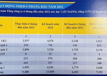 PV Power (POW): Lãi 6 tháng đạt 1.159 tỷ đồng, Nhơn Trạch 3 và 4 đã thu xếp được vốn và dự vận hành thương mại từ năm 2024 - 2025 - Ảnh 1.