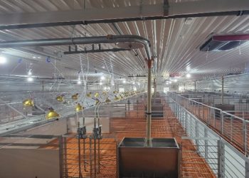 Phát hành trái phiếu ra công chúng 600 tỷ đồng