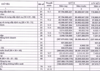 Quý 2, Licogi 14 (L14) lần đầu báo lỗ ròng 238 tỷ đồng kể từ khi lên sàn, dự phòng giảm giá chứng khoán gần 380 tỷ đồng - Ảnh 1.