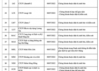 Quý 3/2022, HNX tiếp tục cắt margin với 59 mã chứng khoán, điển hình có BII, PCG, VKC, VC9, OCH... - Ảnh 1.