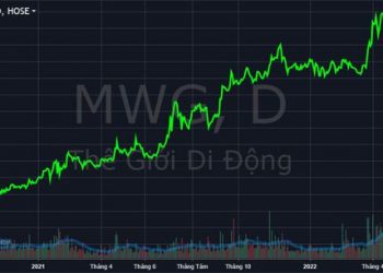 Room ngoại “ế” hàng triệu cổ phiếu, phải chăng MWG đã hết “hot” trong mắt nhà đầu tư nước ngoài? - Ảnh 1.