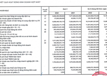 Nhu cầu hồi phục mạnh hậu Covid-19, doanh nghiệp bia nhanh chóng lấy lại đà tăng trưởng: Riêng Sabeco đạt đỉnh lợi nhuận 4 năm với 1.688 tỷ đồng - Ảnh 1.