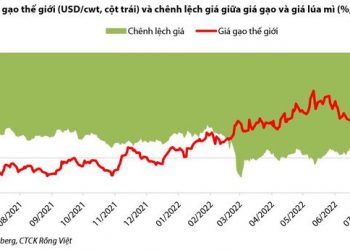 Sản lượng xuất khẩu tăng, triển vọng tươi sáng nửa cuối năm 2022 cho các doanh nghiệp gạo - Ảnh 1.