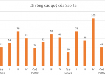 Sao Ta báo lãi kỷ lục - Ảnh 1.