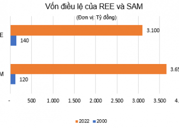 Sau 22 năm niêm yết, hai doanh nghiệp đầu tiên trên sàn chứng khoán giờ ra sao? - Ảnh 1.
