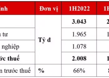 TCBS lãi 2.008 tỷ đồng bán niên 2022, tăng 9% - Ảnh 1.