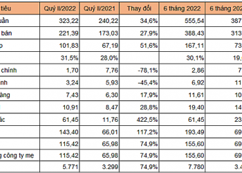 Tái cơ cấu các khoản vay, Vinaship báo lãi ròng quý II tăng 75% - Ảnh 1.