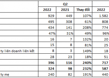 Tăng cường đội tàu, Hải An (HAH) lãi ròng kỷ lục 240 tỷ đồng trong quý 2, cao gấp 3 lần cùng kỳ - Ảnh 1.