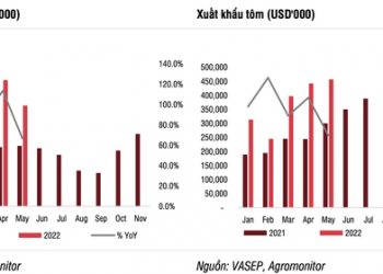 SSI Research: Tăng trưởng xuất khẩu thuỷ sản bắt đầu giảm tốc trong quý 3, lợi nhuận Vĩnh Hoàn (VHC) đã đã đỉnh trong 6 tháng đầu năm 2022 - Ảnh 1.