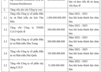 Tập đoàn C.E.O sắp chào bán 252 triệu cổ phiếu cho cổ đông hiện hữu, giá 10.000 đồng/cp - Ảnh 1.