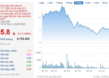 Tập đoàn FLC đã tìm được đơn vị kiểm toán sau gần 4 tháng - Ảnh 1.