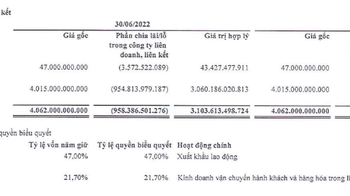 Tập đoàn FLC lỗ ròng hơn ngàn tỷ sau 6 tháng đầu năm - Ảnh 1.