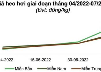 BAF - Thành công từ mô hình chăn nuôi hiện đại - Ảnh 1.